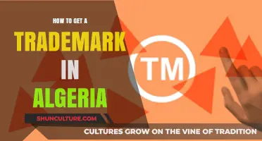 Securing Your Brand: A Step-by-Step Guide to Trademark Registration in Algeria