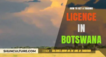 Step-by-Step Guide to Obtaining a Trading Licence in Botswana