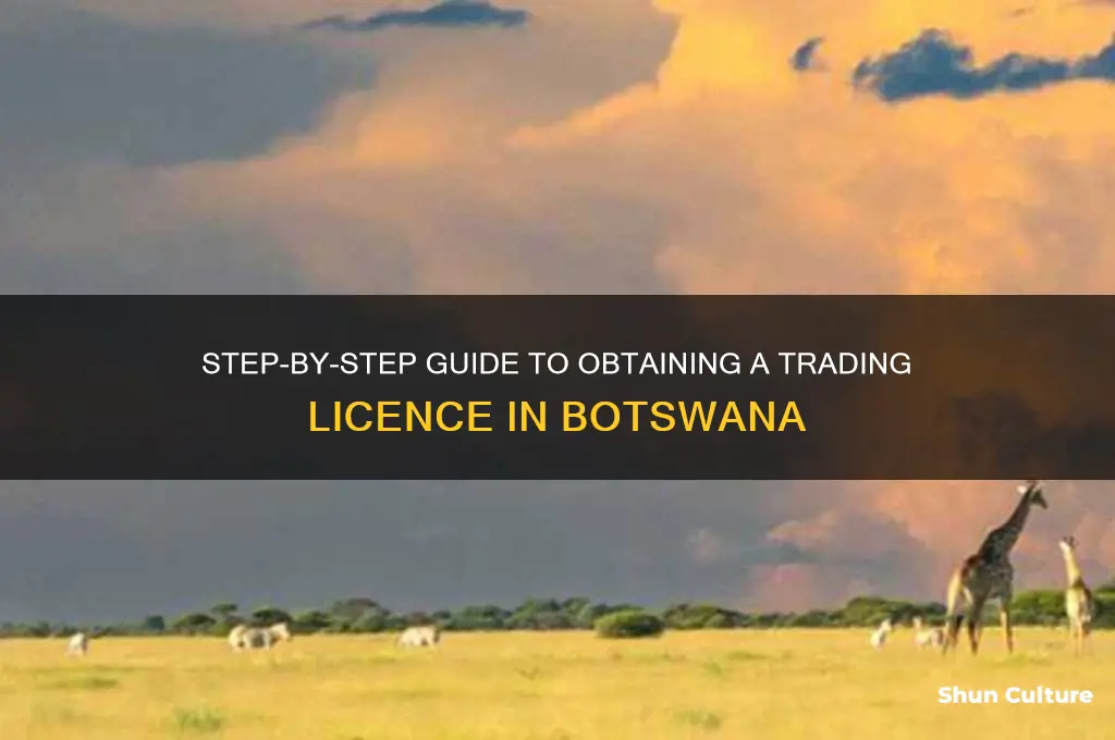 how to get a trading licence in botswana