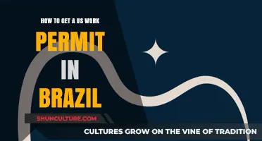 Navigating the Process: Securing a US Work Permit from Brazil