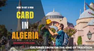 Step-by-Step Guide to Obtaining a Visa Card in Algeria