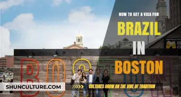 Your Guide to Obtaining a Brazil Visa in Boston
