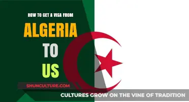 Algeria to USA Visa Guide: Steps, Requirements, and Tips