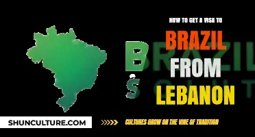 Step-by-Step Guide: Obtaining a Brazilian Visa for Lebanese Citizens