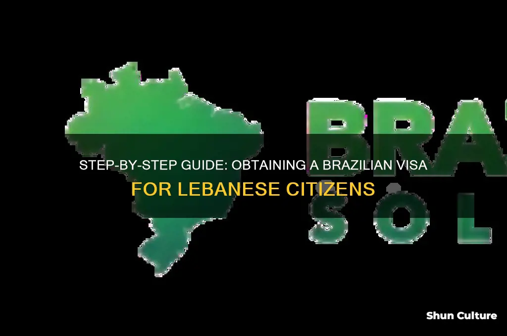 how to get a visa to brazil from lebanon