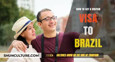 Your Guide to Securing a Visitor Visa for Brazil
