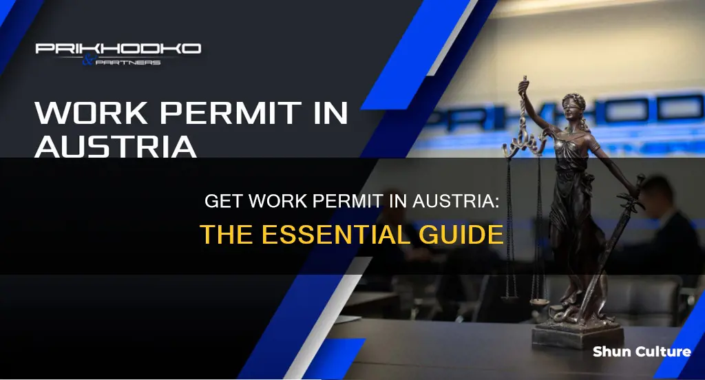 how to get a work permit in austria