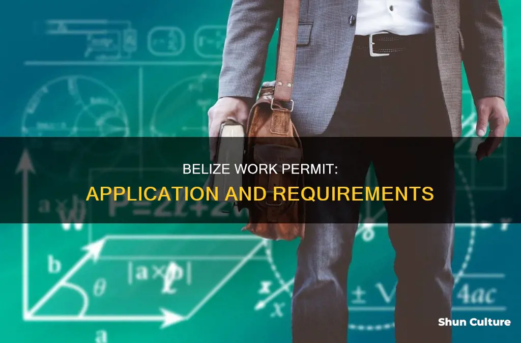 how to get a work permit in belize