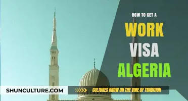 Securing Your Work Visa in Algeria: A Comprehensive Step-by-Step Guide