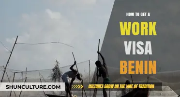 Navigating the Process: A Guide to Obtaining a Work Visa for Benin