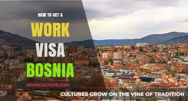 Securing a Work Visa in Bosnia: Essential Steps and Requirements
