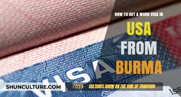 Navigating the Path: A Guide to Obtaining a U.S. Work Visa from Burma