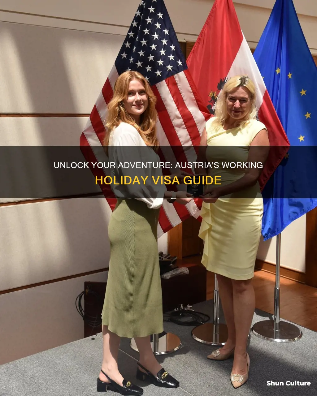 how to get a working holiday visa austria