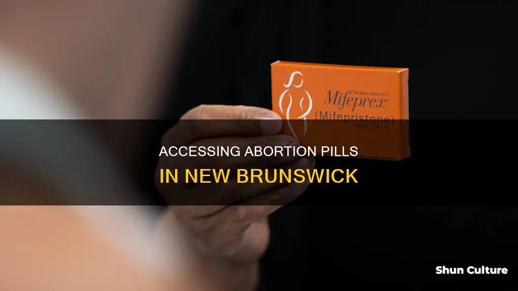 how to get abortion pill in new brunswick