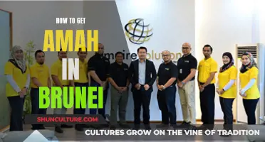 Get an Amah in Brunei: The Ultimate Guide