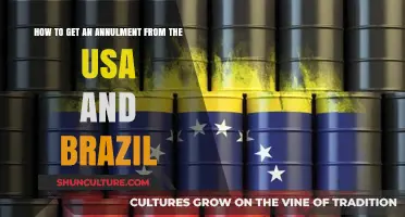 Annulment Process: Navigating Legal Requirements in the USA and Brazil