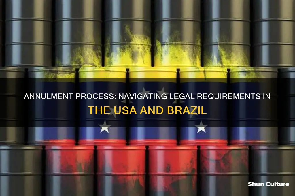how to get an annulment from the usa and brazil