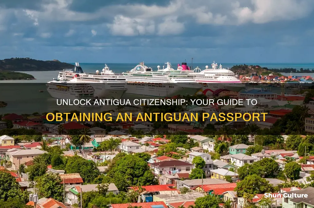 how to get an antiguan passport