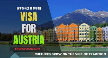 Unlocking Austria: A Guide to Au Pair Visa Success