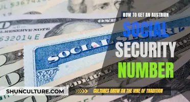 Unlocking Austria: A Guide to Obtaining Your Social Security Number