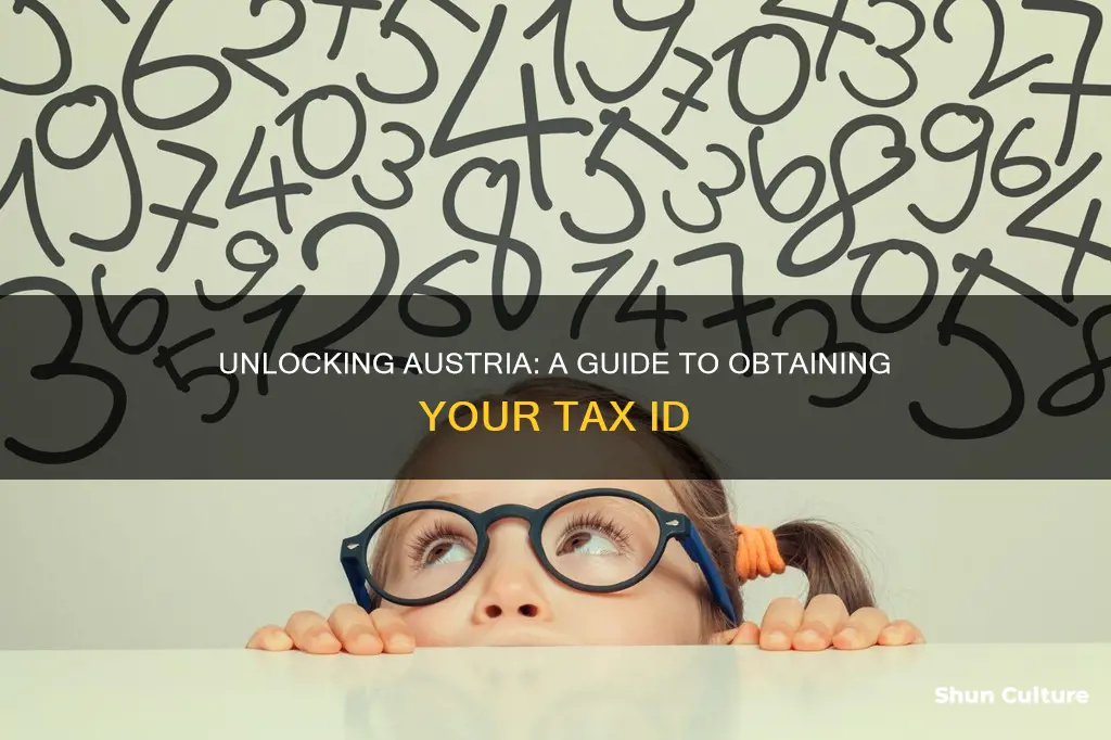 how to get an austrian tax number