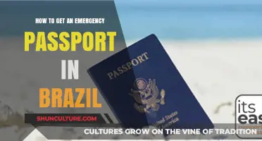 Urgent Travel: Steps to Obtain an Emergency Passport in Brazil
