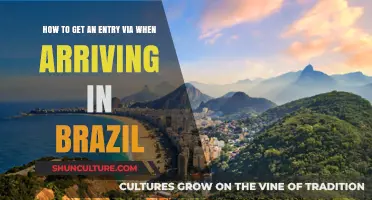 Navigating Brazil's Entry Process: A Step-by-Step Guide for Travelers