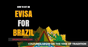 Simplify Your Brazil Travel: A Step-by-Step Guide to Obtaining an E-Visa