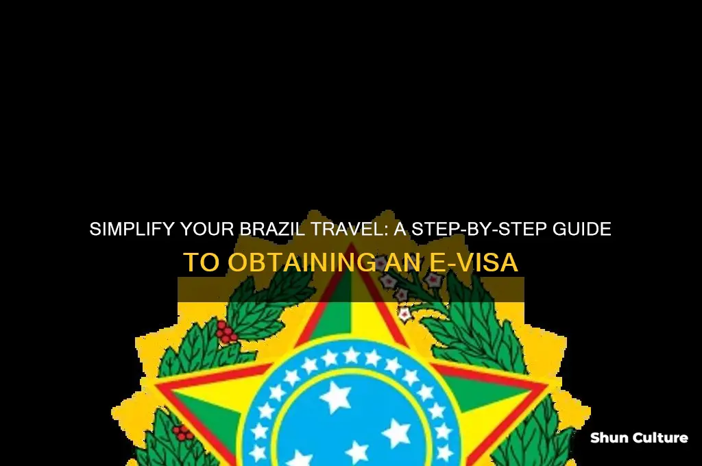 how to get an evisa for brazil