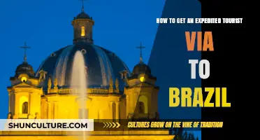 Quick Guide: Expedited Brazil Tourist Visa Application Process Simplified