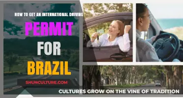 Your Guide to Obtaining an International Driving Permit for Brazil