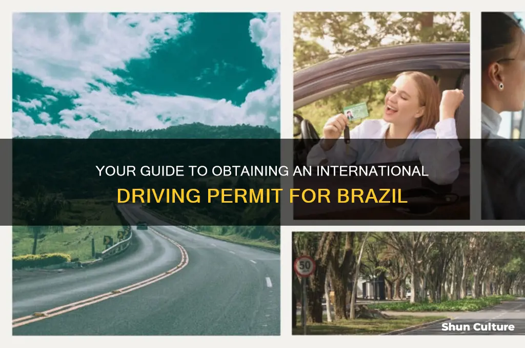 how to get an international driving permit for brazil