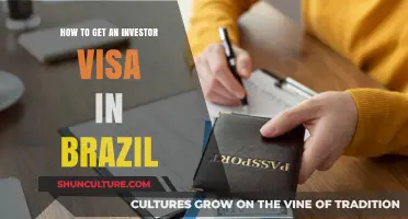 Unlocking Brazil's Investor Visa: A Step-by-Step Guide for Entrepreneurs