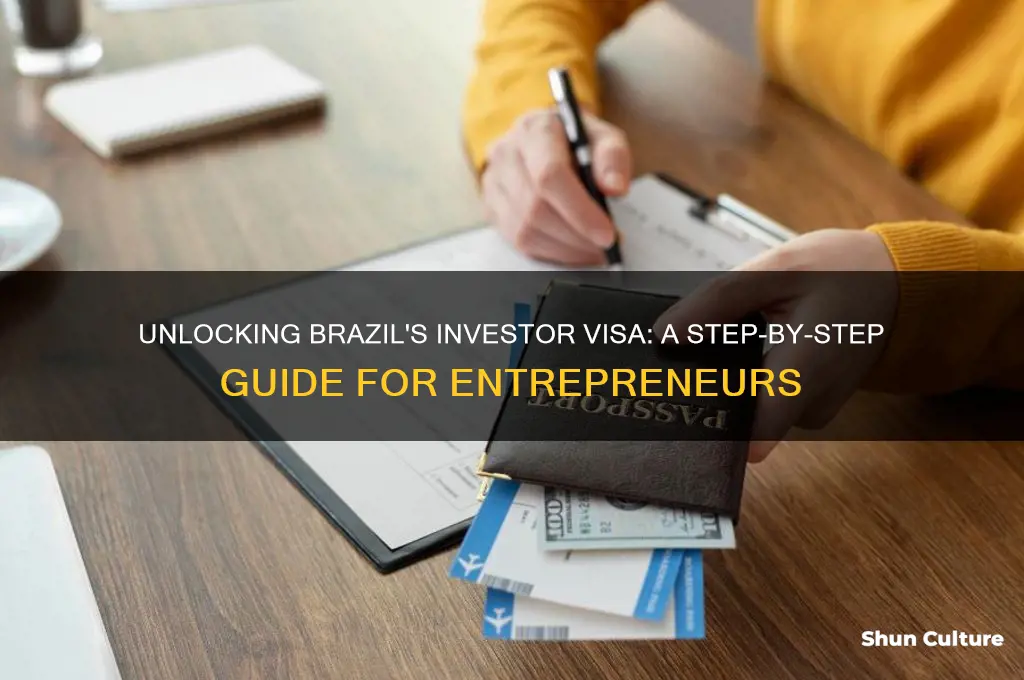 how to get an investor visa in brazil