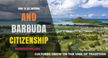 Unlocking Antigua and Barbuda Citizenship: A Comprehensive Guide to Eligibility and Process