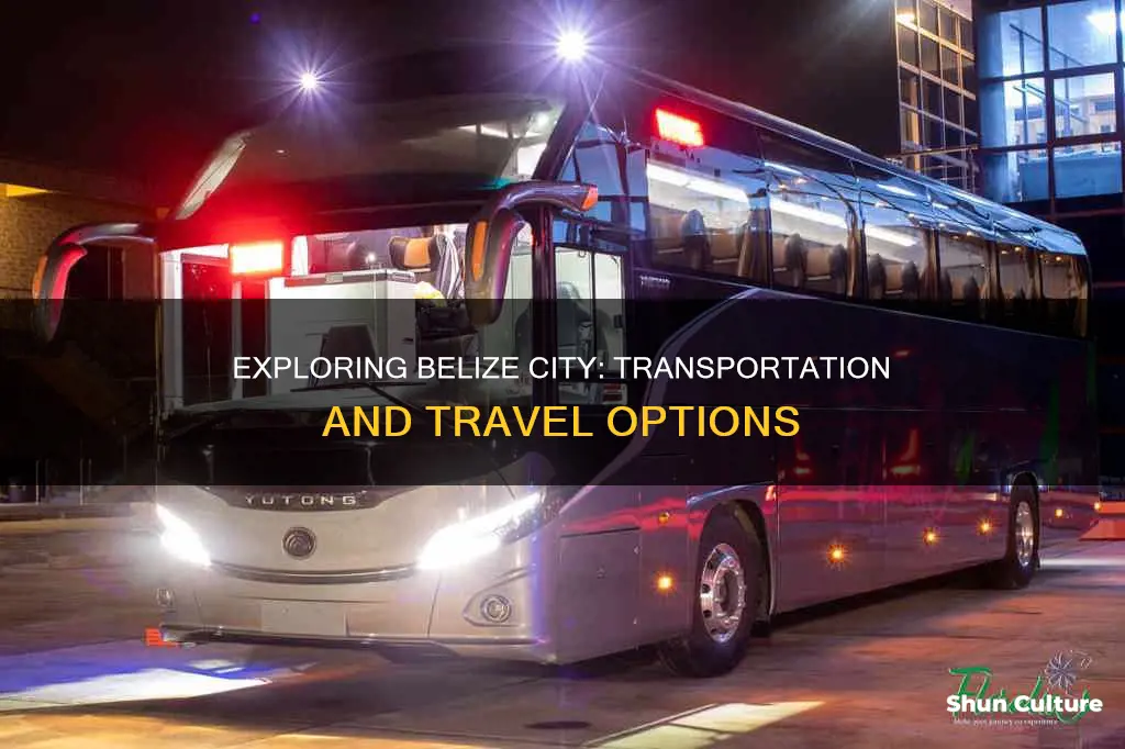 how to get around belize city