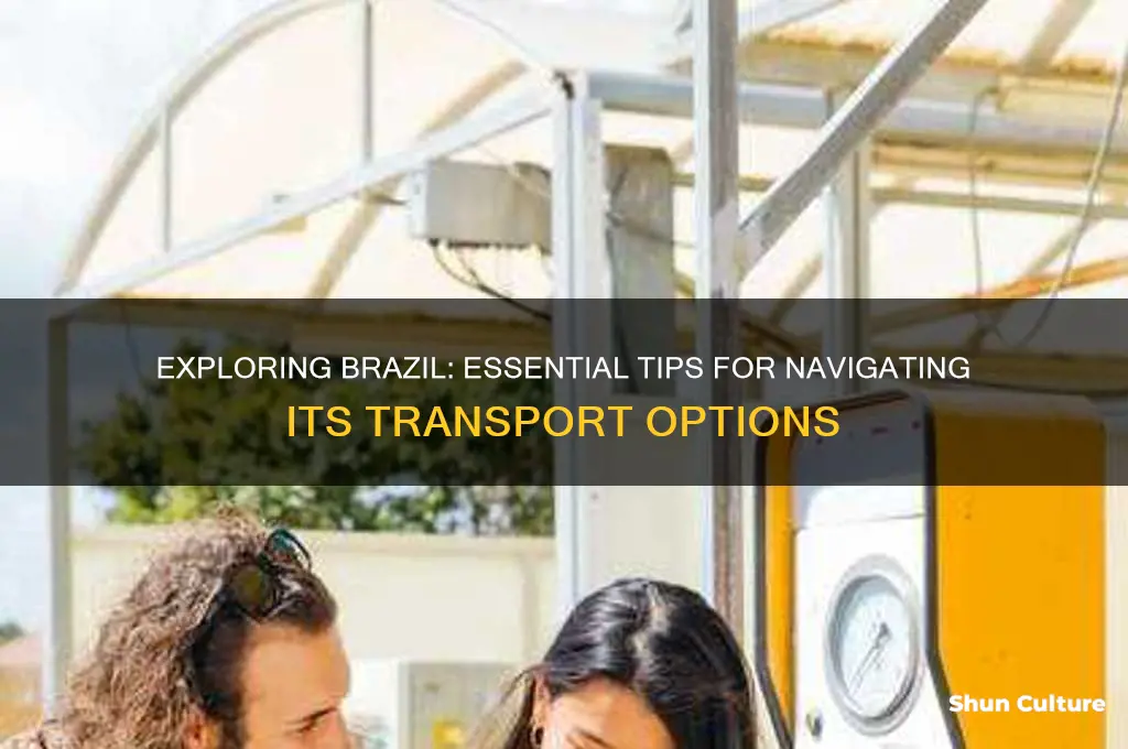 how to get around brazil