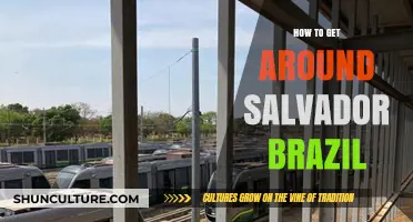 Exploring Salvador, Brazil: Top Tips for Easy Navigation and Transport