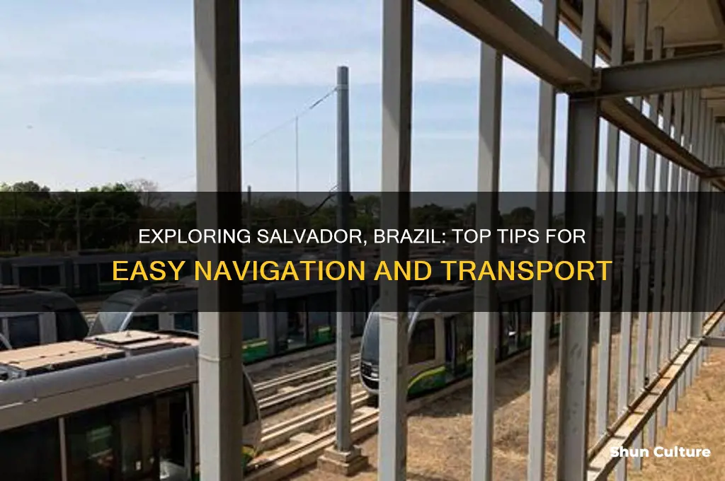how to get around salvador brazil