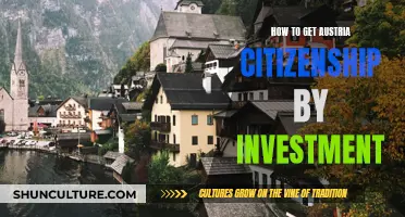 Unlock Austria's Doors: Citizenship Through Investment