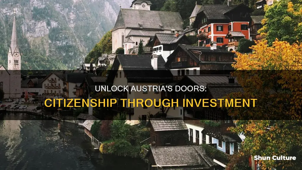 how to get austria citizenship by investment