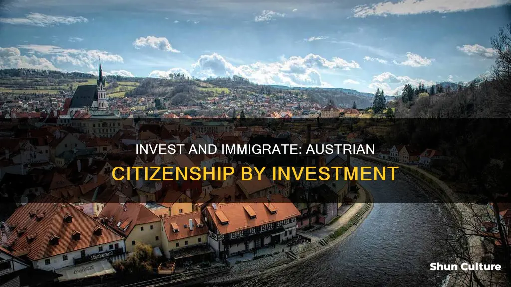how to get austria citizenship by investment