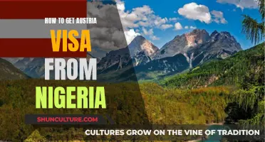 A Comprehensive Guide: Austria Visa Application Process for Nigerians