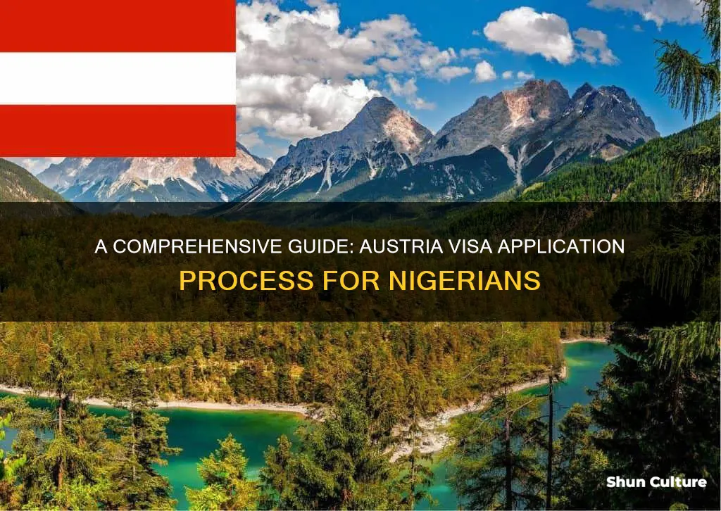 how to get austria visa from nigeria