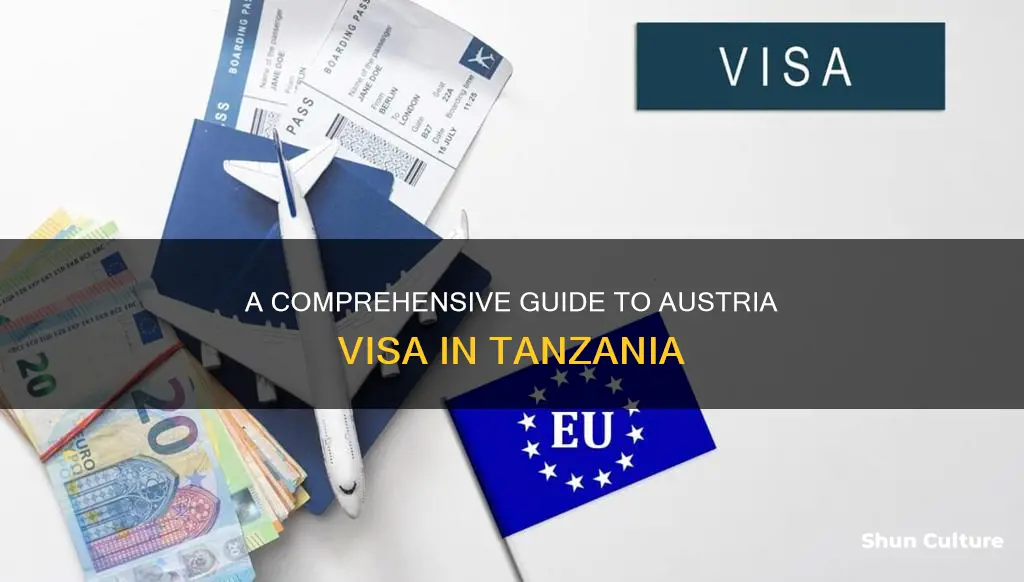 how to get austria visa in tanzania