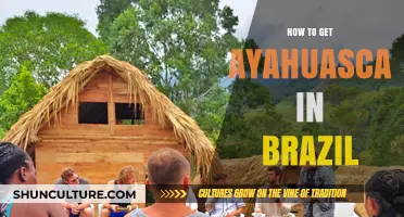 Exploring Ayahuasca in Brazil: A Guide to Safe and Legal Access