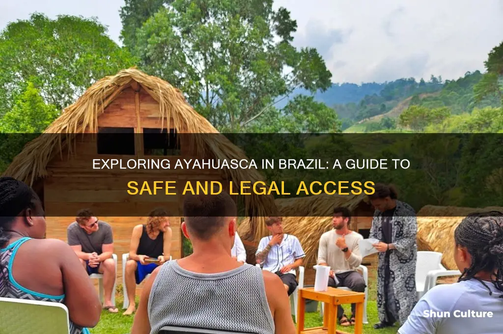 how to get ayahuasca in brazil