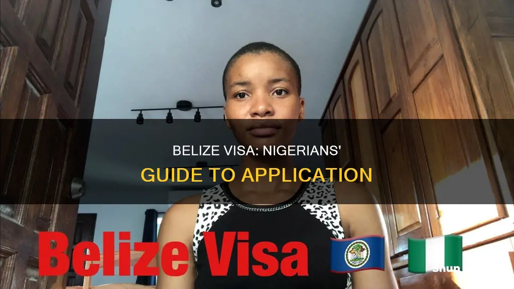 how to get belize visa from nigeria