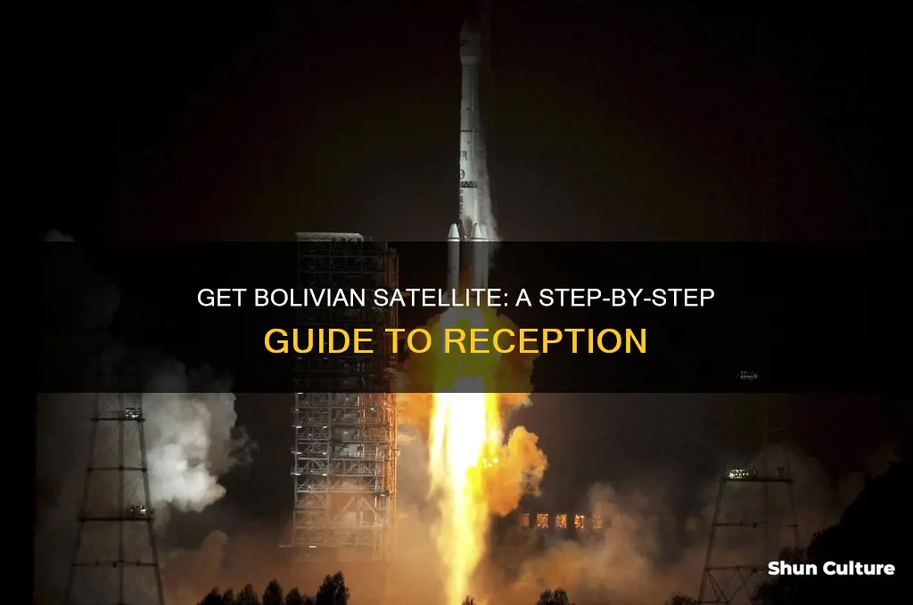 how to get bolivian satellite