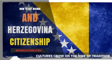 How to Obtain Bosnia and Herzegovina Citizenship: A Comprehensive Guide